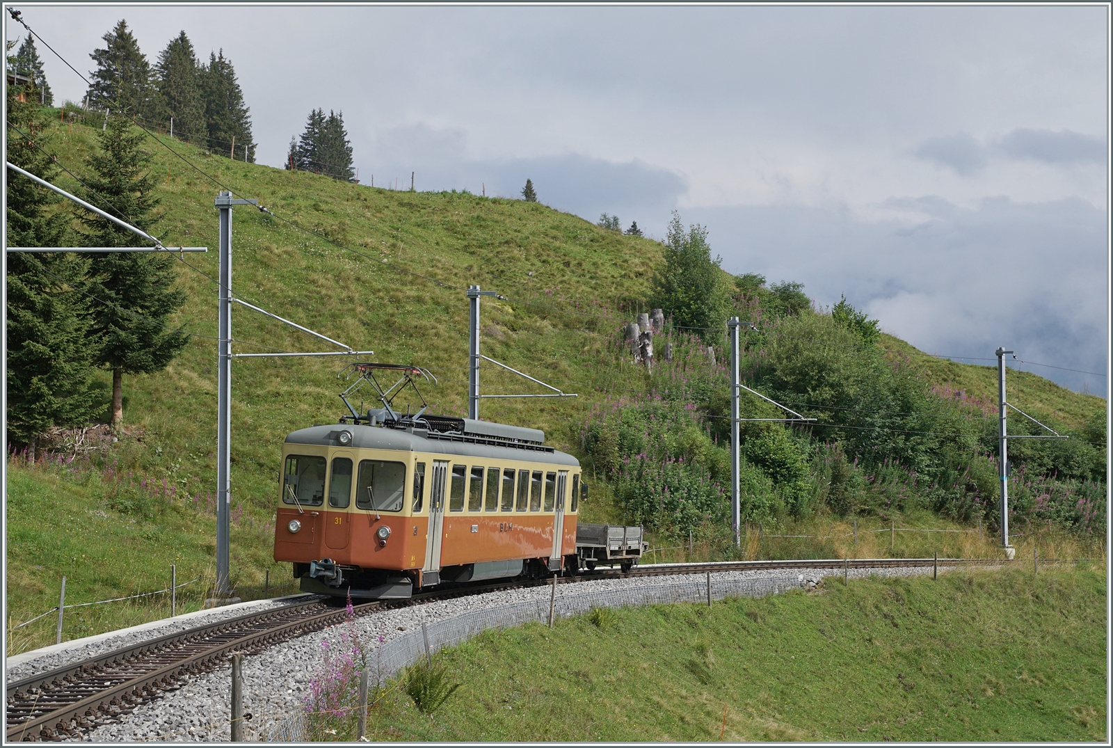 2024 - Kein gutes Jahr für die  Bipperlisis ! Hoch auf der Alp zwischen Mürren und Grütschalp verbringt der Be 4/4 31  Lisi  seinen letzten Sommer, ab dem Winter werden die neuen Be 4/6 401 - 403 den Verkehr vollständig übernehmen. 

3. Aug. 2024