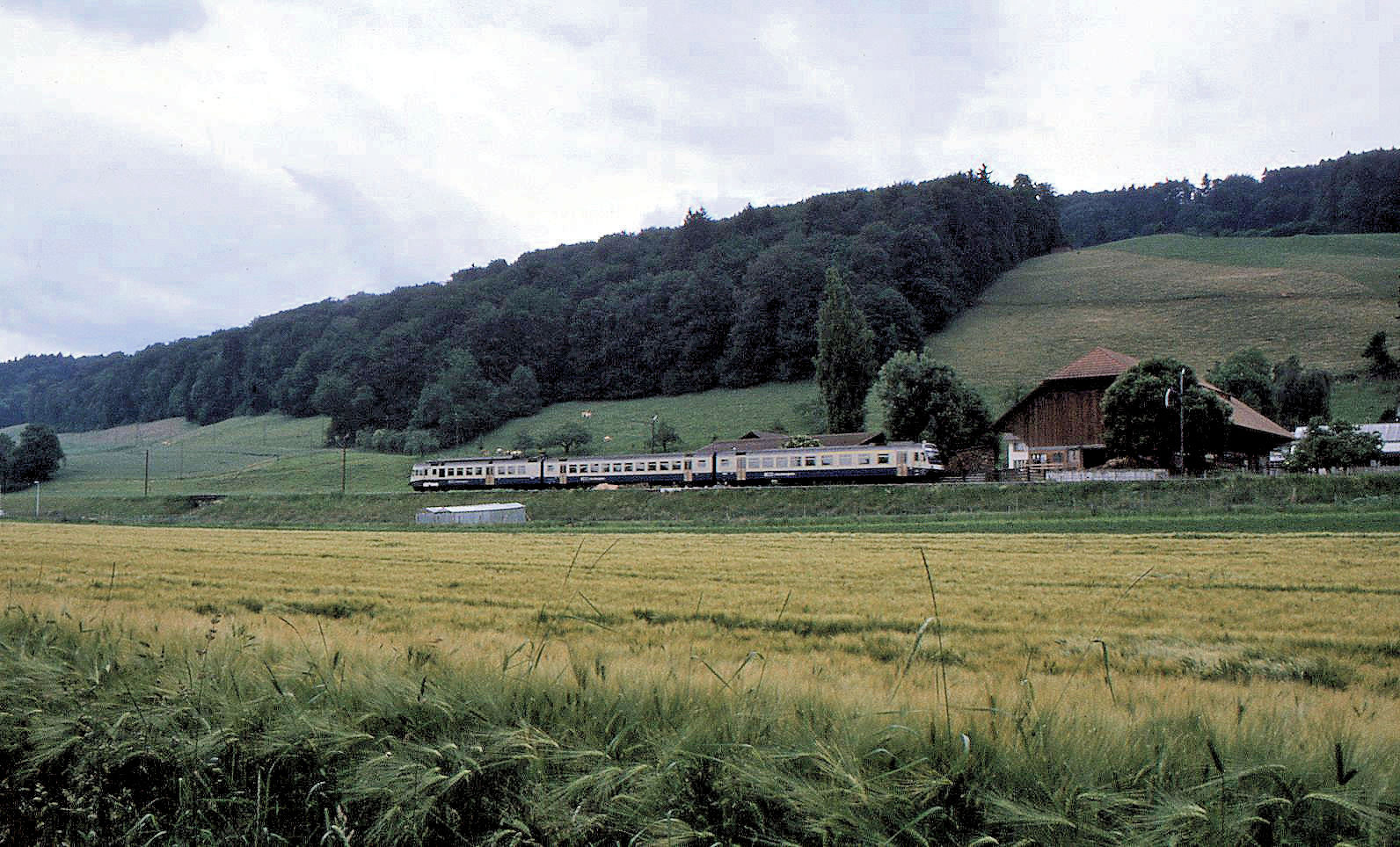 BLS NPZ im Originalanstrich: Durchfahrt einer NPZ-Komposition RBDe 565 - NPZ Zwischenwagen - ABt in Kleinwabern. Dieses friedliche Bild ist längst Vergangenheit, denn das Feld ist vollständig überbaut mit Hochhäusern, Häuserblocks und Wohnsiedlungen. 10.Juni 1995 
