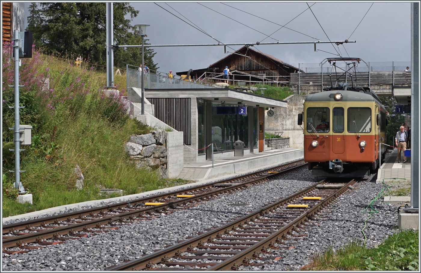Der BLM Be 4/4 31  Lisi  verlässt die Station Winteregg in Richtung Mürren. 

8. August 2024
