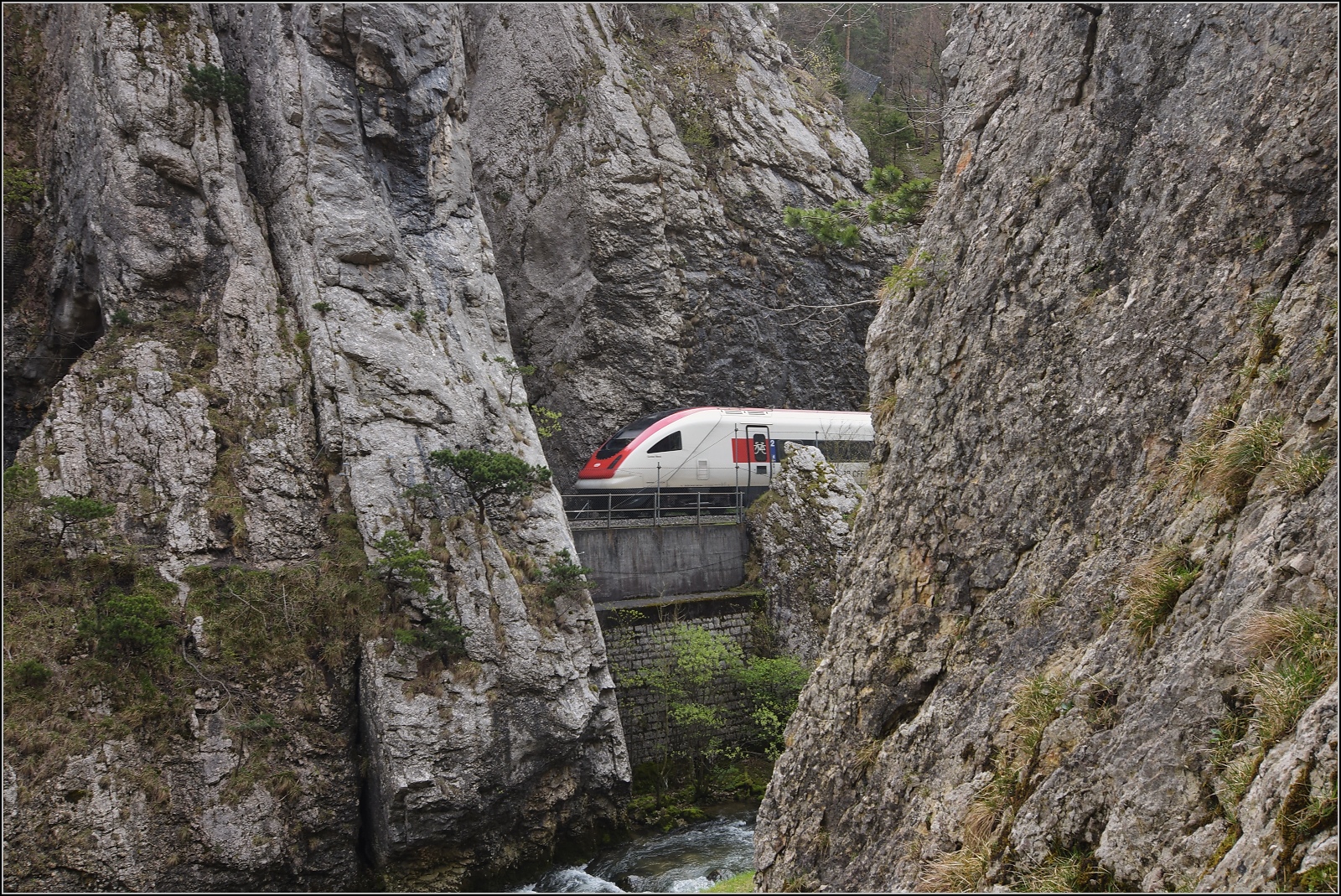Die RVT-Fahrt zum Feldschlösschen.

Zuerst muss noch der ICN 500 034 'Gustav Wenk' durch die Klus nach Moutier. April 2023. 