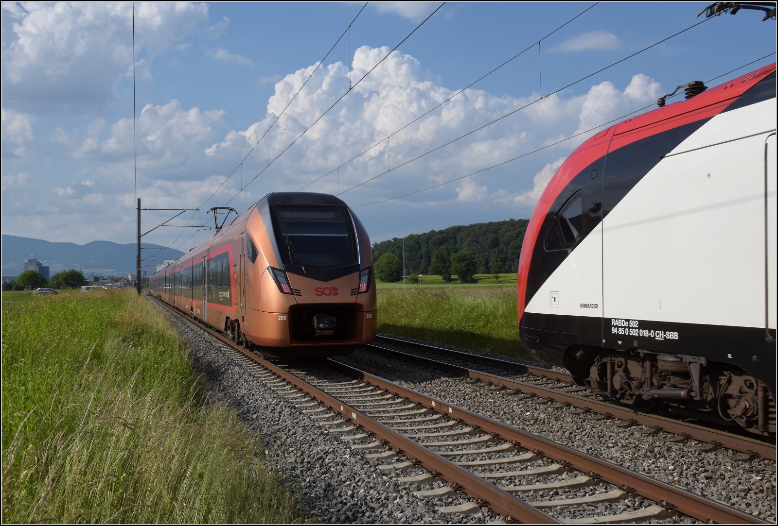 Fernverkehrstag auf der Altstrecke.

Das Flirtpärchen RABe 526 111/211 begegnet dem IC aus RABe 502 213 und RABDe 502 018. Bettenhausen, Juni 2023.