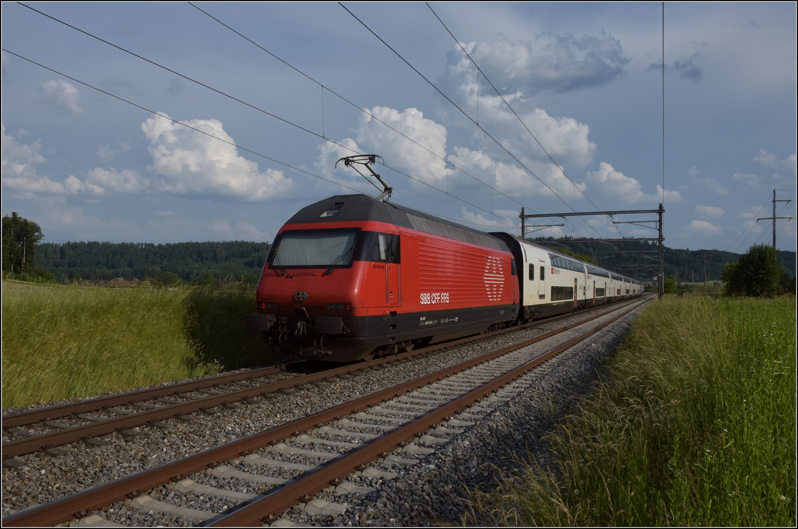 Fernverkehrstag auf der Altstrecke.

Via Burgdorf gibt es zumeist nur noch Güterverkehr, Nahverkehr und überregionale Züge nach Bern. Re 460 110 'Mariaberg' mit einem IC bei Bettenhausen. Juni 2023.