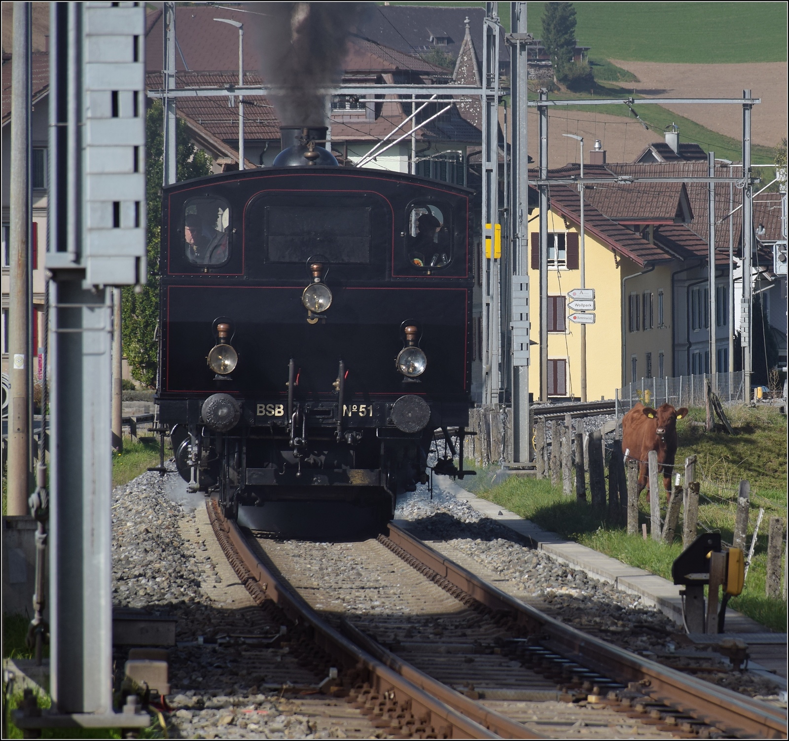 Huttwiler Dampftage. 

Ed 3/4 51 der Bern-Schwarzenburg-Bahn auf Rangierfahrt in Huttwil. Dampflokfans sind offenbar nicht ausschlie�lich Zweibeiner, wie man bei genauer Betrachtung des Bildes erkennt. Oktober 2023.