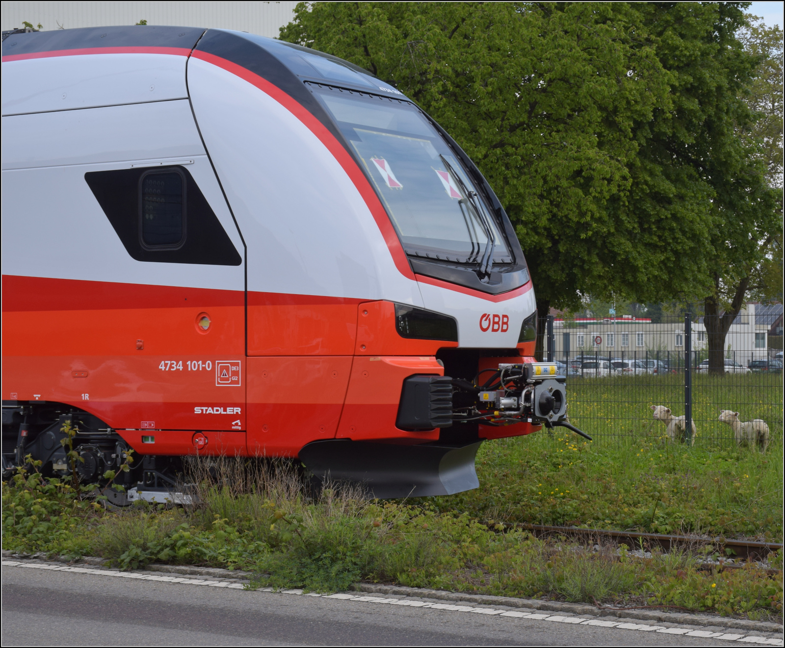 Rollout des ersten Kiss für die ÖBB.

Selbst die Rheintalschäfli sind begeistert von 4734 101. St. Margrethen, April 2024. 