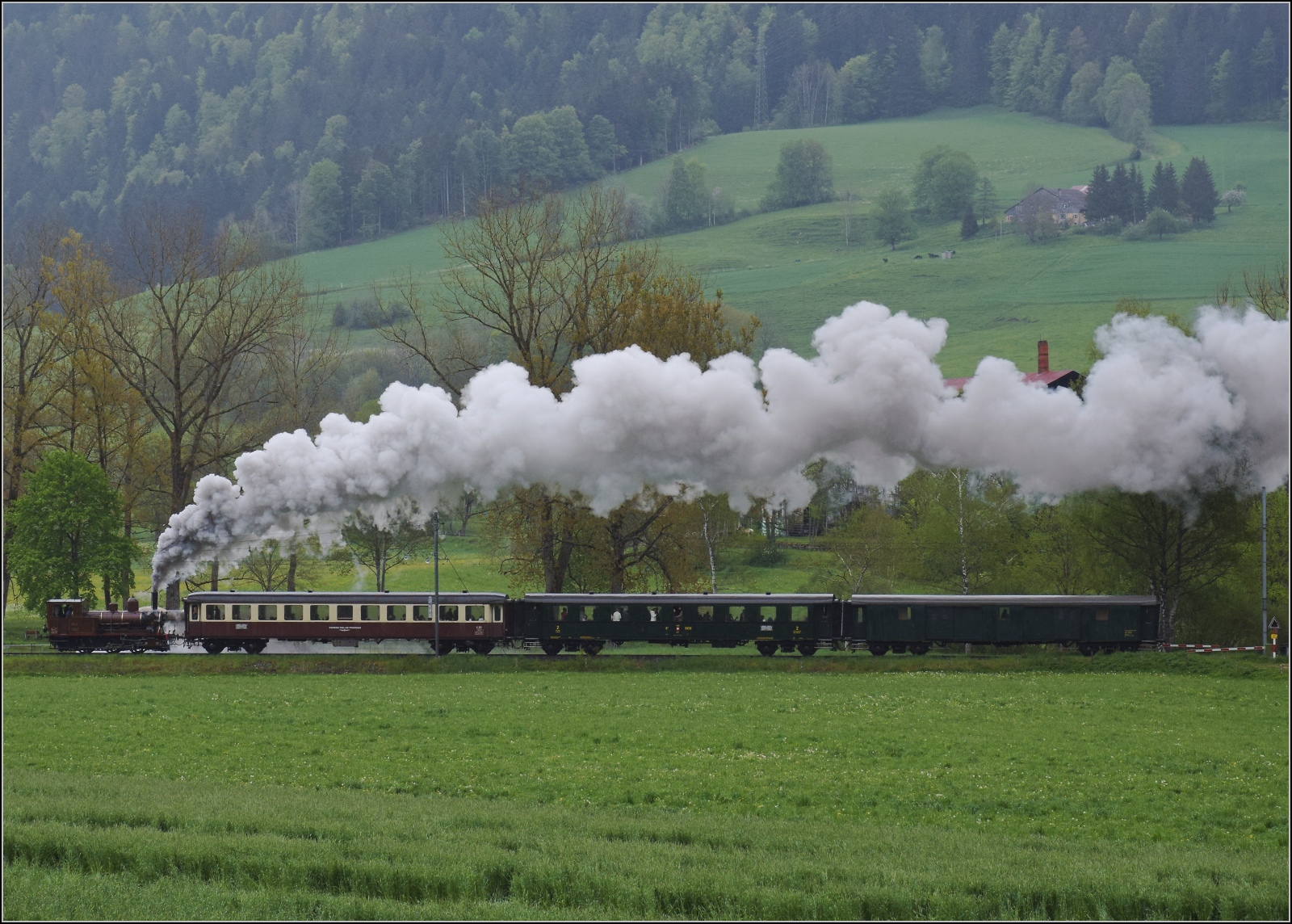 Vapeur Val-de-Travers: Train  Au fil de l'Areuse .

E 3/3 8511 nimmt zwischen La Presta und Travers Anlauf für die Steigung. Mai 2023.