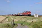 Die 218 376-2 und 218 389-5 bei Friedrich-Wilhelm-L�bke-Koog am 15,08,12