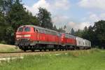 Die 225 071-0 und 225 809-3 bei Kastl am 04,08,10
