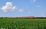233 662-6 mit dem EZ 47409 (Fredericia - Maschen Rbf) am 24.07.2015 zwischen Tjæreborg und Bramming.