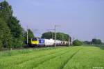 264 003-5 am 04.05.2014 bei Brühl-Schwadorf.
