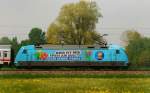 Portrait 101 102-2, VEDES, aufgenommen am 30.04.14, bei Mindelaltheim.