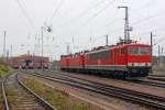 Die MEG 702 ( 155 179-5 ) , MEG 605 ( 143 344-0 ) , RBH 117 ( 143 554-4 ) , 143 929-8 , 112 165-6 and MEG 804 ( 156 004-4 ) beim Sommerfest im DB Museum / DB Regio Werk Halle (Saale) am 02,07,11