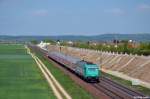 185 618-6 als S3 von N�rnberg Hbf nach Neumarkt(Oberpf) am 01.05.2012 in P�lling.