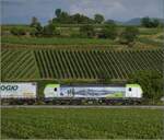 Re 475 023 der BLS bei Buggingen.