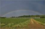463 018 + 463 007 + 463 005 mit doppeltem Regenbogen bei Buggingen.