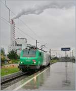 Die SNCF BB 37053 auf dem Weg nach Basel Rangierbahnhof (Muttenz) bei der Durchfahrt in Basel St.Johann.
22. Juni 2007