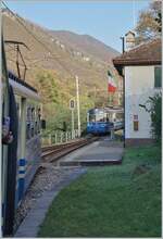 Auch schon fast  museumsreif : Zu meiner grossen Überraschung und Freude kreuz der nach Domodossola fahrende SSIF ABe 6/6 33  Sempione  in Verigo den SSIF ABe 8/8 21  Roma  welcher auf der Fahrt nach Locarno ist. Dank dem zu öffnenden Fester konnte ich mehr oder weniger gut die Begegnung festhalten. 31. Okt. 2024  