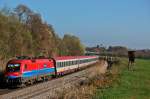 1116 020 ist mit dem EC 111 unterwegs nach Salzburg.