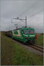 Bei Mauraz wird der BAM Zuckerr�benzug wird f�r die Beladung auf freier Strecke bereitgestellt.