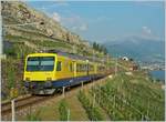 Weshalb der  Train des Vignes  Rebbergzug heisst, zeigt diese Bild eindr�cklich.