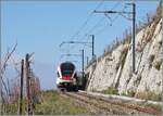 Kurz darauf, nun nicht mehr bildfüllend, ist SBB RABe 523 028-4 (RABe 523 94 85 0 523 028-4 CH-SBB) als R7 auf der Train des Vignes Strecke nach dem Salanfe Tunnel auf dem Weg nach Puidoux. 

16. Nov. 2024
