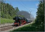 Die 01 202 eilt mit ihrem wunderschönen blauen Zug pünktlich wie die Eisenbahn kurz nach Bussigny an mir vorbei. Die Dampflok und ihre Wagenpark sind auf der Fahrt von Genève nach Lyss (via Biel. 

8. Juni 2019