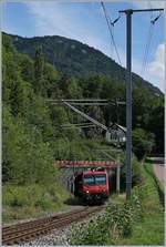 Der RE 18124 erreicht in Kürze Champ-du-Moulin.