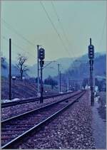 Ein Blick auf den Bahnhof von Roches (BE) von Süden her und dessen Ausfahrsignale in Richtung Moutier. Im Hintergrund kann man das kleine  Bahnhofsgebäude  erahnen. 

13. März 1985  