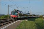 Zwei Domino Züge als RE Bulle/Palézieux - Bern auf dem Weg Richtung Fribourg erreichen noch unter der alten Fahrleitung den Halt Neyruz.