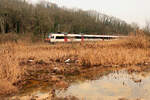 Im riesigen Naturschutzgebiet der Grande Cariçaie am Südufer des Neuenburgersees. Domino-Zug der S-Bahn Fribourg S30 unterwegs von Yverdon nach Payerne und Fribourg. 14.Dezmber 2021 