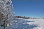 In der kurzen Zwischenzeit des nach Tagen abgezogenen Nebels und der bald aufziehenden Störung zeigte sich eine kleine Winterwunderwelt, in welcher der TPF RE 3819 von Bulle nach Bern schon fast