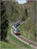 Landschaftlich sehr schön ist der Einschnitt zwischen Courtepin und Pensier auf der TPF Strecke Ins - Fribourg. Im Bild ein SBB RBDe 560  Domino  auf dem Weg in Richtung Murten. 

19. April 2022