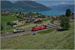 Bei Faulensee ist eine SBB Re 460 mit ihrem IC auf dem weg nach Spiez. Neben der schönen Landschaft ist auch BLS Tm 234 zu erkennen, der hier rangiert. 

14. Juni 2021