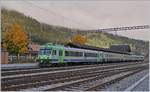 Hin und wieder kommen auch BLS RABe 565/566 Pendelz�ge in den sonst von Re 4/4 II / EW III belegten Umlauf der RE Zweisimmen - Interlaken.