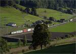Re 486 509 mit Rola bei Riedtwil.