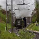 Fahrleitungsstörung nannte sie die Veranstaltung, um an die Dampfreserve in Olten für solche Fälle zu erinnern.