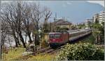Die SBB RE 4/4 II 1111 mit dem IR 2328 Locarno - Arth Goldau kurz nach Locarno.