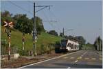 Der SBB Seetalbahn Triebwagen RABe 520 011-3 auf dem Weg nach Lenzburg kurz nach der Abfahrt in Birrwil.