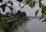 Unbeeindruckt von dem am Bodensee entlangfahrenden GTW, unterwegs als S8 23856 von Rorschach nach Schaffhausen, sucht der Schwan kopf�ber am Seegrund nach etwas Fressbarem (N�he Mannenbach,