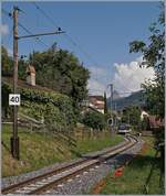 Der Fahrleitungsmast N� 23 mag nicht ganz so alt sein wie der Dent de Jaman im Hintergrund, d�rfte aber schon eine Ewigkeit hier stehen.