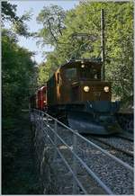 50 Jahre Blonay Chamby - MEGA BERNINA FESTIVAL: Das Viadukt über die Baye de Clarens ist eine einem dermassen schlechten Zustand, dass es neu gebaut werden muss und die bestehende Anlage nicht in