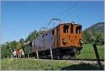 50 Jahre Blonay Chamby - MEGA BERNINA FESTIVAL: Die Blonay-Chamby Bahn BB Ge 4/4 81, von Blonay kommend, kurz vor Chaulin Bifurcation.
