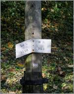 Am Fahrleitungsmast N° 63 im Wals oberhalb von Blonay verkünden Neigungsanzeiger das Ende der 1538 Meter langen 50 Promille Rampe von Blonay her.