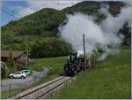 Nostalgie & Vapeur 2021 (Pfingstfestival) Die Blonay-Chamby Bahn G 3/3 N° 5 (ex LEB) und die G 2x 2/2 105 ex (SEG) ziehen bei Cornaux einen Personenzug von Blonay nach Chaulin.