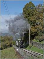  La DER de la Saison  - Die kleine Dampflok raucht wie eine grosse; was den Fotografen freut freut nicht unbedingt die Anwohner...