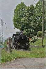 Bei Chaulin kämpft sich die BFD HG 3/4 N° 3 der Blonay - Chamby Bahn durch die Vegetation.