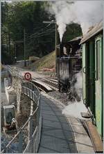 Sanierung des Baye de Clarens Viaduktes: Die Arbeiten am westlichen Brückenkopf haben begonnen und die Strecke führt hier bereits über eine Hilfsbrücke.