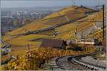 Bald ist der Talboden erreicht: Ein A-l Zug von Leysin nach Aigle erreicht in Kürze Aigle DüPôt.