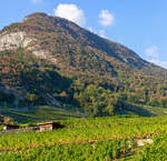 Ein Blick aus dem tpc ASD (Aigle–Sépey–Diablerets) Regionalzug (R 24) Diablerets nach Aigle, der tpc AL (Aigle–Leysin) Regionalzug (R 25) von Leysin nach Aigle fährt am 08