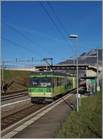 Der AOMC Beh 4/8 592 beim Halt in Aigle Hôpital.