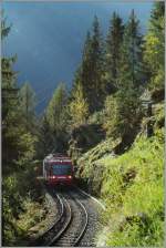 TMR (M-C) BDeh 4/8 21 (SNCF Z800 UIC N� 90 85 838 0821-1 CH-TMRSA) f�hrt im Gegenlicht auf dem Stromschienenabschnitt zwischen Finhaut und Le Tr�tien talw�rts.